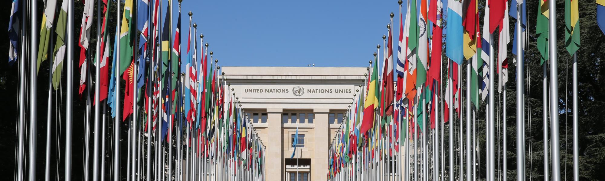 Как стать переводчиком в ООН?